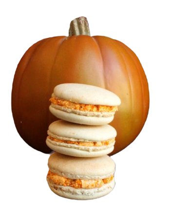 pumpkin macarons