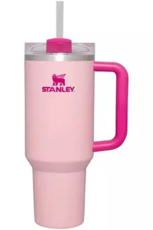 flamingo stanley cup - Google Search