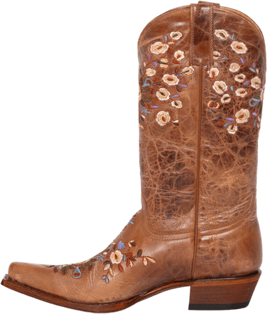 embroidered cowboy boot