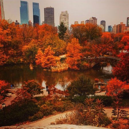 autumn city tumblr - Google Search
