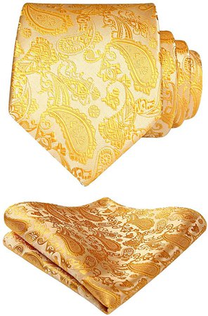 Amazon.com: Enmain Paisley Floral Jacquard Woven Men's Wedding Silk Tie Pocket Square Necktie Set Yellow: Gateway