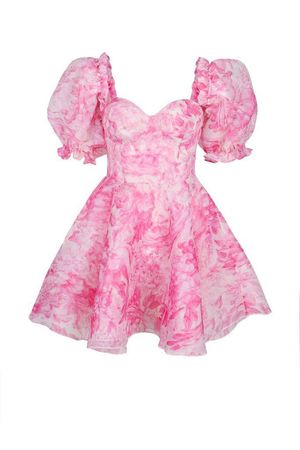 The babydoll toile parliament dress