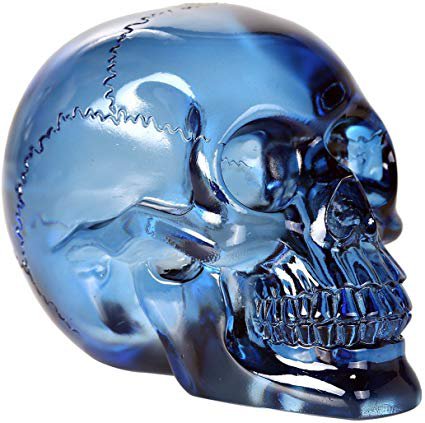 Pacific Giftware Crystal Clear Translucent Skull Collectible Figurine 4.5 Inch (Blue): Amazon.ca: Home & Kitchen