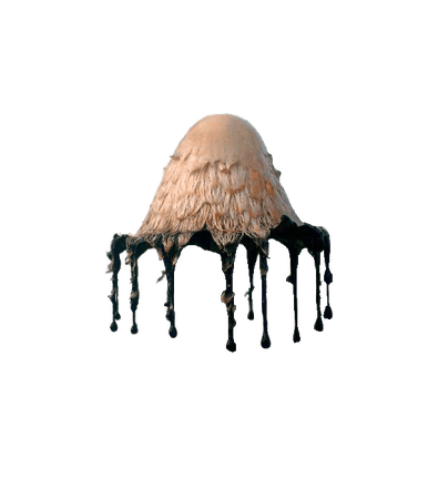 Inky Cap Mushroom Hat 2 (HVST edit)