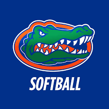 wallpaper gators softball - Google Search