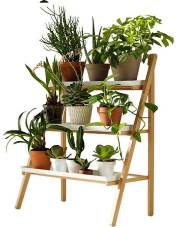 plant rack