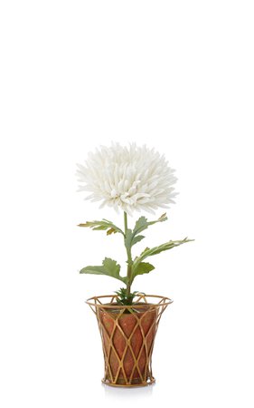 M'O Exclusive White Chrysanthemum by Vladimir Kanevsky | Moda Operandi
