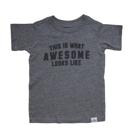 THIS IS WHAT AWESOME LOOKS LIKE TSHIRT– Mini Dreamers