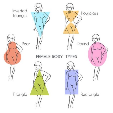 body type
