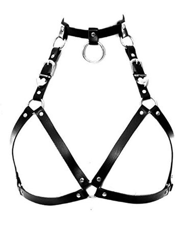 leather harness