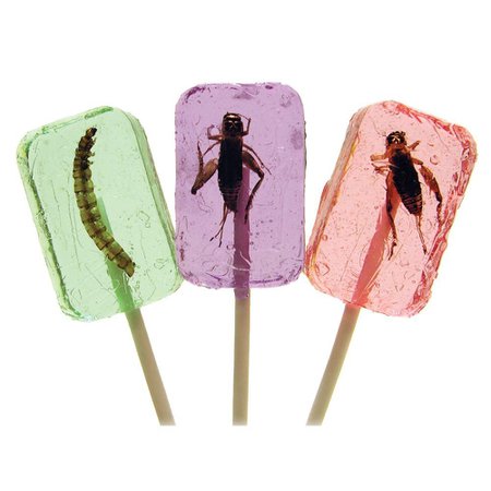 Cricket & Larva Licket Lollipops, Insect Candy: Educational Innovations, Inc.