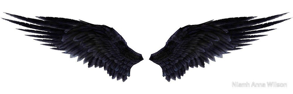 Black Wings/Fallen Angel