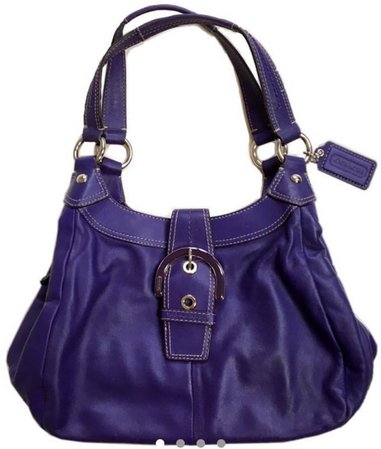 purple bag