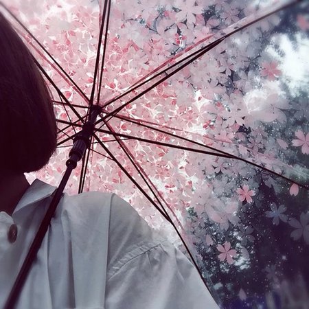 cherry blossom umbrella