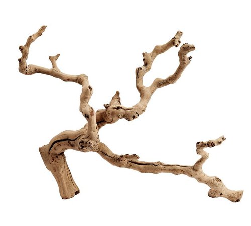 Dried Grapewood Branch | Decorative Objects | Pottery Barn