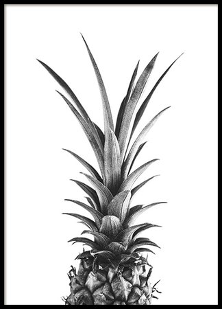 Pineapple B&W Poster
