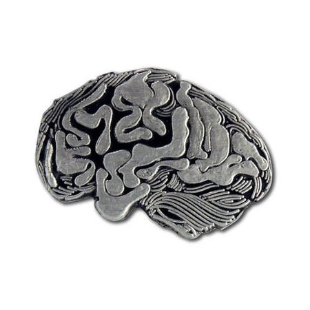 A37 Human Brain Lapel Pin - Anatomically correct | StockPins.com