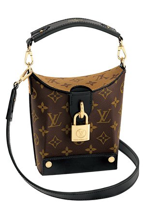 Louis Vuitton - bento box bag