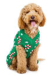 dog in ugly sweater - Google Search