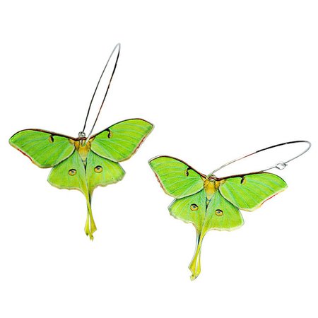 Eyed Green Butterfly Earrings | BOOGZEL APPAREL – Boogzel Apparel