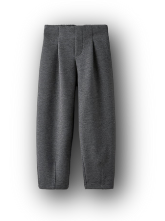 gray pleated pants trousers