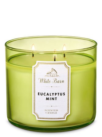 Eucalyptus Mint 3-Wick Candle | Bath & Body Works