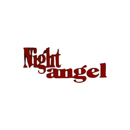 Devil Night Angel