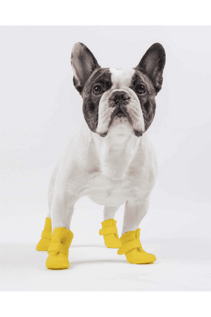 dog rain boots - Google Search