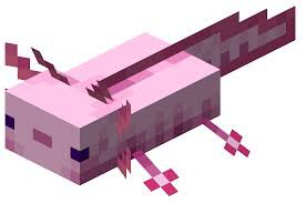 axolotl Minecraft