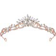 Amazon.com: SWEETV Rose Gold Tiaras and Crowns for Women & Girls, Wedding Tiara for Bride, Crystal Princess Birthday Crown, Costume Hair Accessories for Prom Cosplay Party : Beauty & Personal Care