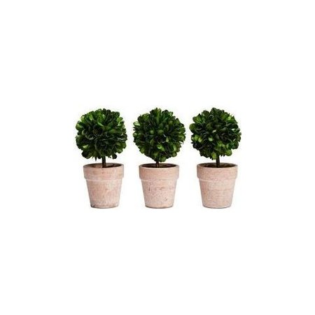 Three plants