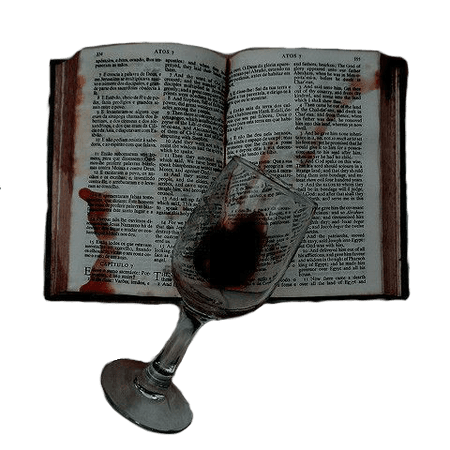 wine and books