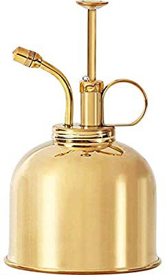 Amazon.com : BRASS PLANT MISTER: Indoor Plant Mister, Terrarium Mister, Orchid Spritzer, Succulent Mister, Nickel Spray Bottle Mister, Plant Sprayer Mister || A Beautiful and Useful Houseplant Accessory : Garden & Outdoor