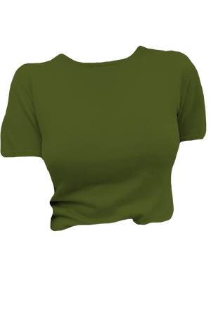 rebbie_irl’s green tshirt
