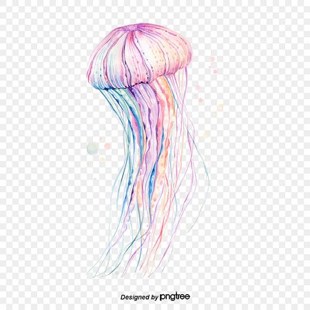 Pink and Blue Jellyfish