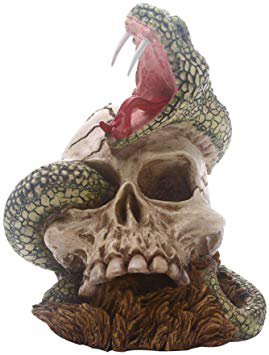 MUROER Home Sculpture Decoration Accessories Skull and Snake Horror Crafts Statue Creative Ornaments: Amazon.ca: Home & Kitchen