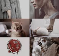 hunger games aesthetic photo - Google Search