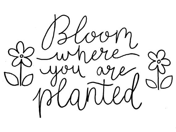Bloom Where You Are Planted Printable | Etsy