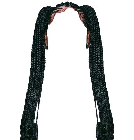 Fulani Box Braids High Pigtails Hair in black (Dei5 edit)