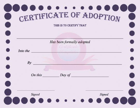 adoption papers ny - Google Search