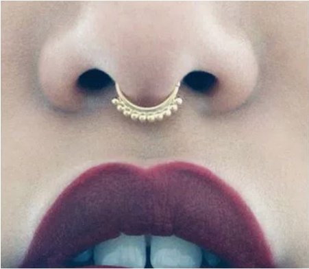 1pcs 18gauge Stainless Steel 6mm 8mm 10mm Septum Clicker Nose Piercing Septum Nose Ring Piercing Septum Ring Clicker Daith Piercing Nostril Tragus Helix Cartilage Earring Body Jewelry Rose Gold,gold,silver | Wish