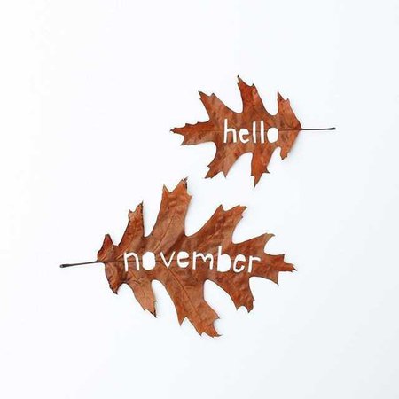 hello November