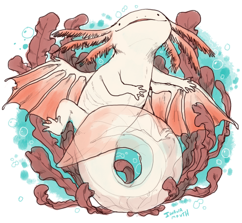 axolotl dragon 🐉