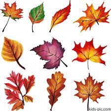 fall leaves - Google Search