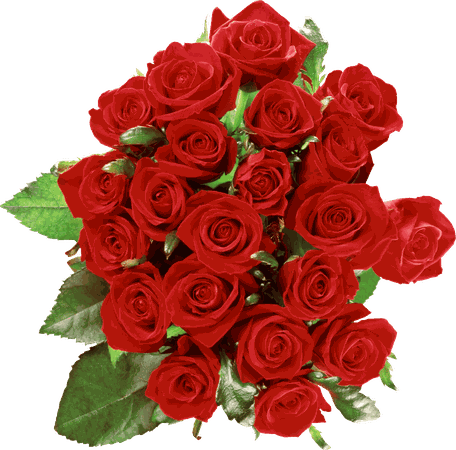 Bouquet Of Roses PNG HD Transparent Bouquet Of Roses HD.PNG Images. | PlusPNG