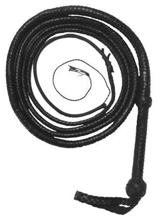 Leather whip png