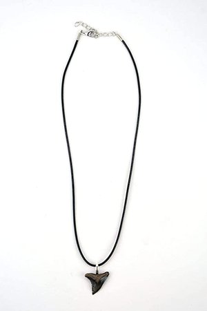 Amazon.com: Snaggle Shark Tooth Necklace : Handmade Products