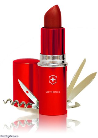 Lipstick-Swiss-Army-Knife--37268.jpg 800×1,124 pixels