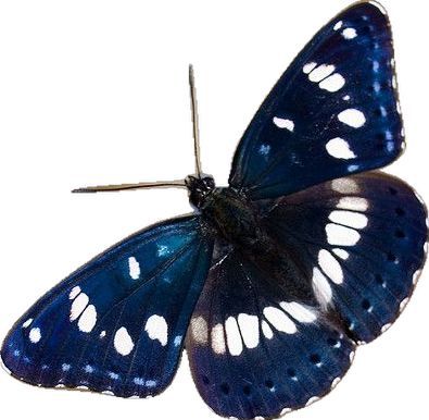 sadcherrysoda png blue
