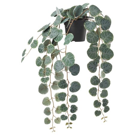 FEJKA Artificial potted plant - indoor/outdoor hanging, String of hearts - IKEA